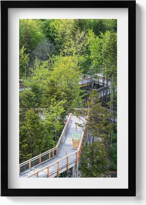 Produktbild von Weg in Krynica Zdrój– Wandbild mit Rahmen – Gerahmtes Bild  – Wanddekoration – 40x60 cm –  Schwarz