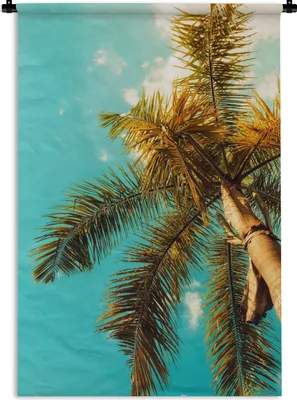 Produktbild von MuchoWow® Wandteppich Wandbehang Palme - Sommer - Tropisch 60x90 cm Tapisserie Dekoration Wandtuch - Foto-Teppich - Abwaschbar
