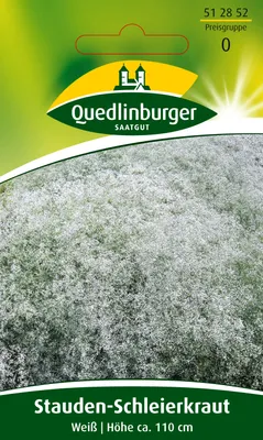 Produktbild von Stauden-Schleierkraut, Weiß