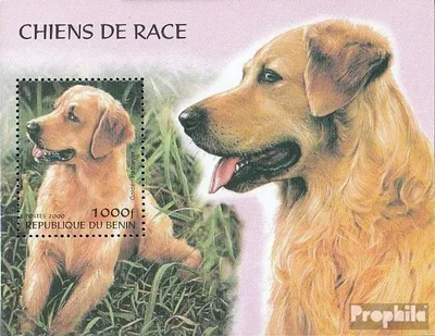 Produktbild von Briefmarken Benin 2000 Mi Block I (kompl.Ausg.) postfrisch Hunde