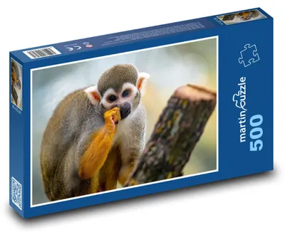 Produktbild von Puzzle 500 Niedlicher kleiner Affe - martinpuzzle