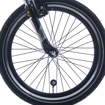 Zdjęcie produktu dla ALPINA -Vorderrad 22 HLQC Trail Black SW SPK