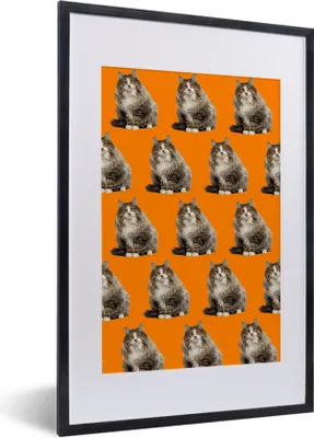 Produktbild von MuchoWow® MuchoWow® Gerahmtes Poster Tiere - Orange - Muster 40x60 cm - Poster mit zchwarzem Bilderrahmen - Poster in Rahmen