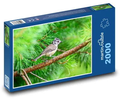 Zdjęcie produktu dla martinpuzzle - Puzzle 2000 - Siwka chocholata