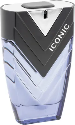 Produktbild von Sapil Iconic for Men Eau de Parfum 100 ml