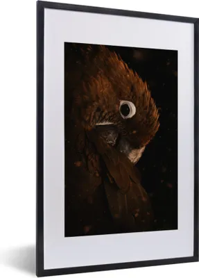 Produktbild von MuchoWow® MuchoWow® Gerahmtes Poster Papagei - Vogel - Federn 40x60 cm - Poster mit zchwarzem Bilderrahmen - Poster in Rahmen