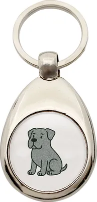 Produktbild von Huuraa Schlüsselanhänger Cane Corso Comic Corsi Metall Schlüsselring Einkaufswagenchip Geschenkidee