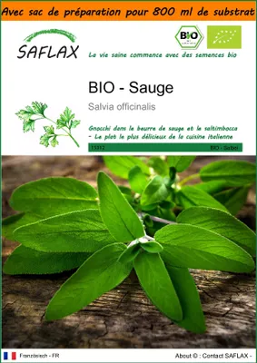 Image de SAFLAX Garden in the bag -- Sauge - 60 graines - Salvia