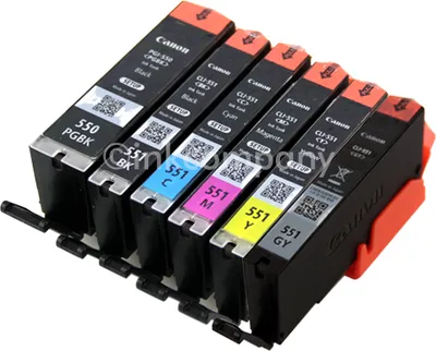 Produktbild von 6 Canon Original Patronen PGI 550 CLI551 Set mit Grau