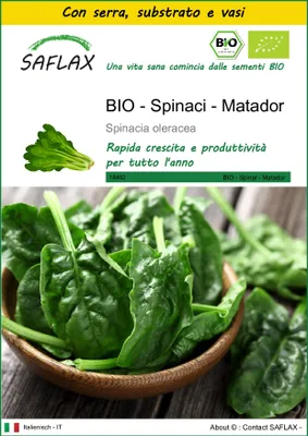 Immagine prodotto di SAFLAX Insieme di coltivazione -- Spinaci - Matador - 300 semi - Spinacia