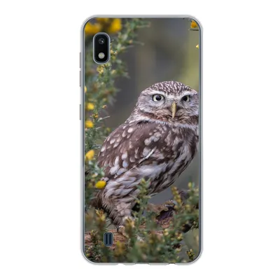 Produktbild von MuchoWow® Handyhülle Schutzhülle Hülle für Samsung Galaxy A10 Eine kleine braune Eule sitzt da und starrt nach vorne Silikon Softcase Handy Hülle - Schutzhülle