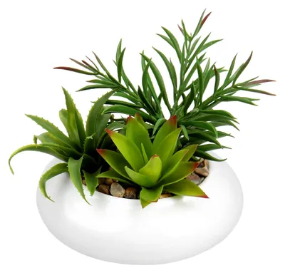 Produktbild von Kunstpflanze Künstliche Sukkulenten im Keramiktopf Höhe 7"/18 cm
