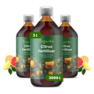 Obrázek produktu pro Citrus Tekuté Hnojivo 3x1 L – 2-1-8 NPK – Pro Citrusové Rostliny – Pro Zdravé Listy, Bujné Květy & Tvorbu Plodov – Podporuje Kořeny – Organifer