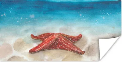 Produktbild von MuchoWow® Poster Seestern - Aquarell - Meer 160x80 cm - Foto Poster