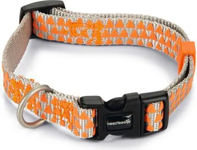 Produktbild von Beeztees Triangle - Hundehalsband - hellgrau - 26-40 cm