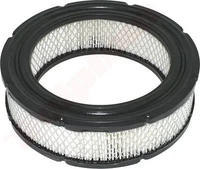 Produktbild von Luftfilter Für Briggs & Stratton ( 692519 , 806232 ) 197X140X57