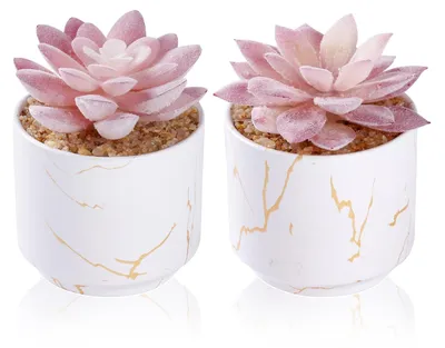 Image de Plantes artificielles dans des pots en céramique, 2 plantes succulentes artificielles, plantes d'intérieur artificielles, décoration de chambre à coucher, plantes décoratives pour la chambre à coucher, le salon, décoration d'intérieur, pots blancs, blanc