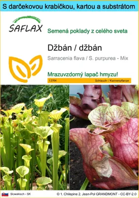 Obrázok produktu pre SAFLAX Darčeková sada - džbán / džbán - Sarracenia flava / S. purpurea - Mix - 10 Semená - S darčekovou krabičkou, prepravným štítkom, darčekovou kartou a pestovateľským médiom