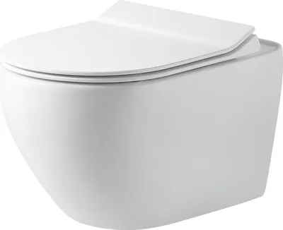 Produktbild von Primaster Wand WC spülrandlos Salvando Tiefspüler weiß inkl. WC Sitz