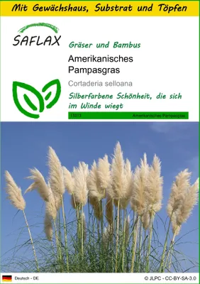 Produktbild von SAFLAX Anzucht Set - Amerikanisches Pampasgras - Cortaderia selloana - 200 Samen - Mit Mini-Gewächshaus, Anzuchtsubstrat und 2 Töpfen