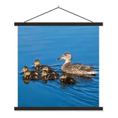 Produktbild von MuchoWow® Textilposter Ente - Wasser - Vogel - Braun 60x60 cm mit schwarzem Rahmen - Posteraufhänger