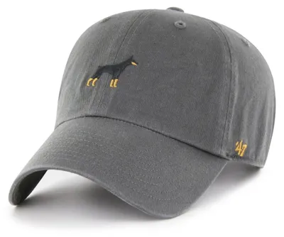 Produktbild von '47 Brand Cap Dog Base Runner Icon '47 CLEAN UP Charcoal
