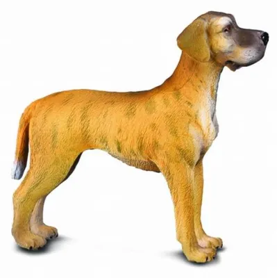 Immagine prodotto di Cane Tedesco 88062
