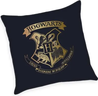 Harry-Potter-Kissen, Velboa, 40x40 cm, 100% Polyester