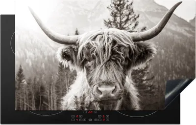 Produktbild von KitchenYeah© Herdabdeckplatte Schottischer Highlander - Tiere - Schwarz - Weiß , 83x51cm, Küche Deko, Glaskeramikkochfeld Herdabdeckung, Abdeckplatte fùr Kochfeld