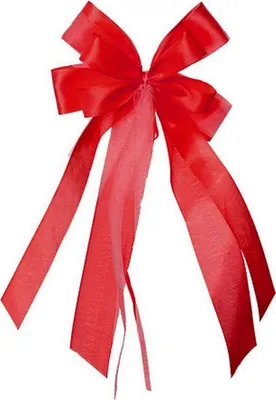 Produktbild von Nestler Geschenkschleife klein rot 17x31cm