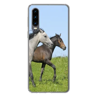 Produktbild von MuchoWow® Handyhülle Schutzhülle Hülle für Huawei P30 Pferde - Tiere - Gras Silikon Softcase Handy Hülle - Kartenbesitzer
