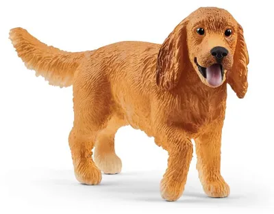 Produktbild von schleich FARM WORLD 13896, 3 Jahr(e), Dogs, Farm animals / farm toys, Mehrfarbig, Kunststoff