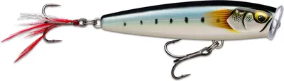 Produktbild von Rapala Skitter Pop Elite - Oberflächenköder, Gewicht / Länge / Hakengröße:17g / 9.5cm / Gr. 4, Farbe:Gilded Maiwashi