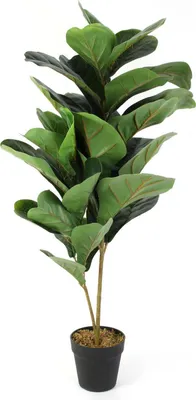 Zdjęcie produktu dla NATURN LIVING Plastikowe drzewo kauczukowe - ø 14 x 98 cm - Ficus Elastica - Sztuczne drzewo kauczukowe - Roślina łatwa w pielęgnacji - Realistyczna sztuczna roślina - Zielona