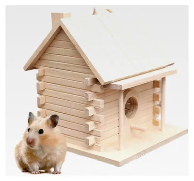 Produktbild von Holzvogelhaus für außen | Dekoratives Papageienhaus zum Aufhängen - Nistkasten für Lovebirds zur Gartendekoration