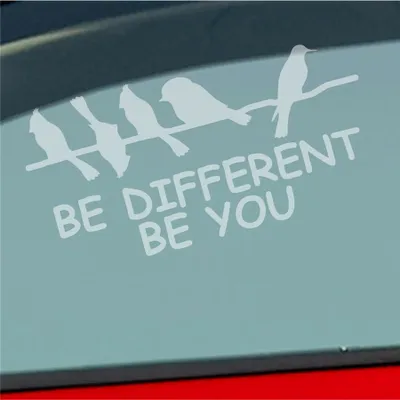 Produktbild von Auto Aufkleber Be different be you Schräger Vogel Birds 19x10 cm Milchglas Sticker Heckscheibenaufkleber
