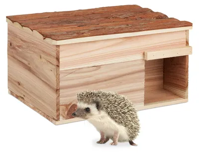 Egelhaus aus Holz, katzensicher, 21x40x30 cm, Naturholz