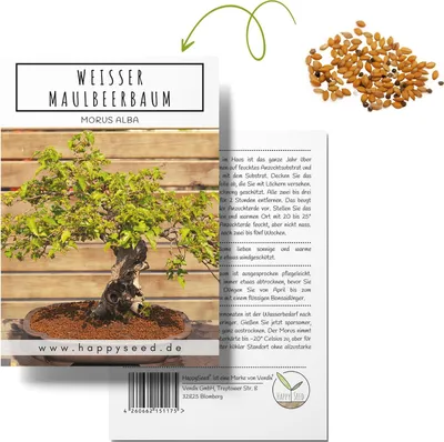Produktbild von Einzigartige Bonsai Samen mit hoher Keimrate - Pflanzen Samen Set für deinen eigenen Bonsai Baum (1x Weißer Maulbeerbaum)