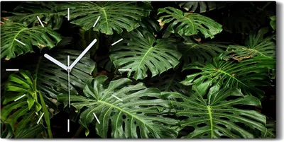 Produktbild von Wanduhr Uhr Wandbild Leinwand 60x30 Gemälde Blüten Pflanzen Monstera Blätter - weiße Hände