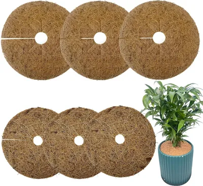 Produktbild von Kokosnoot Winterbeschermingsmat, 6 Stück Kokos Scheiben, 15 cm / 20 cm Kokosmat, Emmer- und Bodenabdeckung