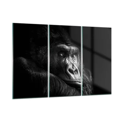 Produktbild von Bilder auf glas - 3 Teile - Affe Gorilla Porträt - 165x110cm - Glasbilder - Wandbilder - Bilder - zum Aufhängen bereit - Wanddekoration aus Glas - Glas Bilder - Wandbild auf Glas - GCE165x110-5007