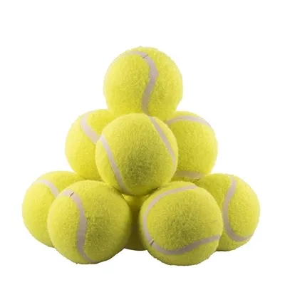 Obrázek produktu pro Rosewood Jolly Doggy Tennisball