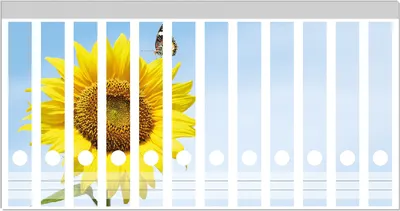 Produktbild von Wallario Ordnerrücken Sticker, selbstklebend für schmale Ordner, 12 Stück, Motiv Sonnenblume mit Schmetterling