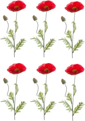 Produktbild von 6er Set künstliche Mohnblumen mit 1 Blüte rot H. 70cm Emerald Kunstblumen