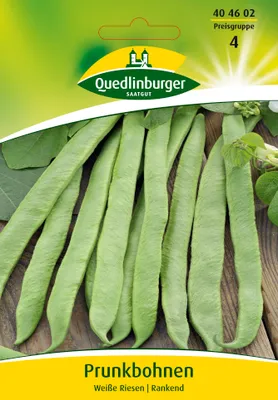Produktbild von Quedlinburger Saatgut - Prunkbohnen Weisse Riesen - Samen - 404602