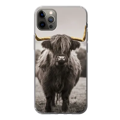 Produktbild von MuchoWow® Handyhülle Schutzhülle Hülle für iPhone 12 Pro Max Schottischer Highlander - Gold - Hörner Silikon Softcase Handy Hülle - Hartschale