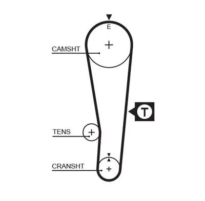 Immagine prodotto di Cintura dentata