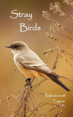 Produktbild von Stray Birds