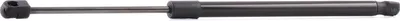 Produktbild von RIDEX 219G0355 Gasfeder Heckklappendämpfer für FIAT PUNTO (188)