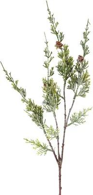 Obrázek produktu pro Umělá větev jalovce ojíněná 68 cm